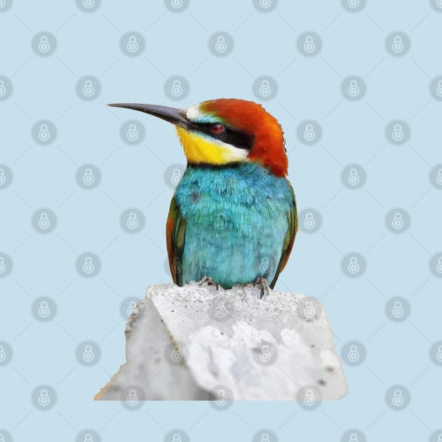 Brightly Colored European Bee Eater Vector Art by taiche