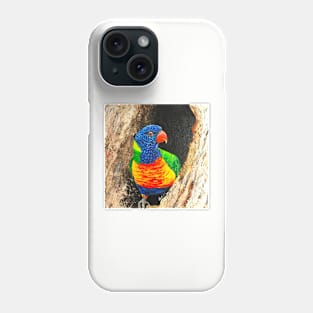 Rainbow Lorikeet Phone Case