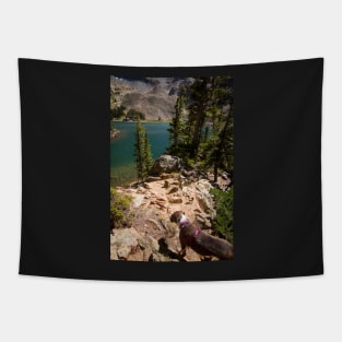 Glacier Lake Colorado- Lake Agnes Tapestry