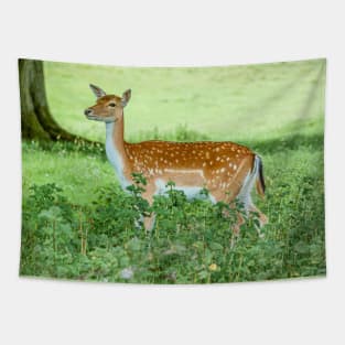 Fallow Deer on the Alert Tapestry