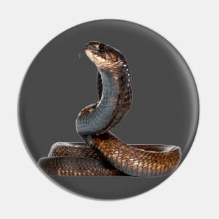 King Snake Pin