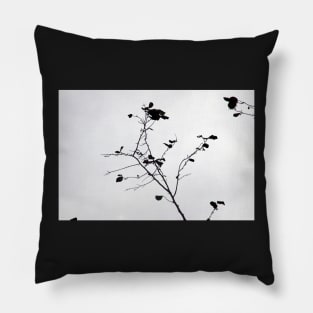 serenity Pillow