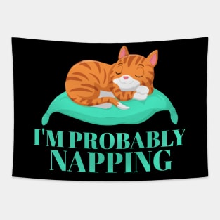 I'm Probably Napping. Tapestry