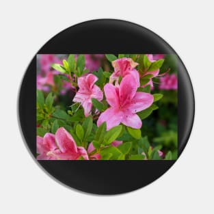 Cluster of Pink Flowers 2 Pin