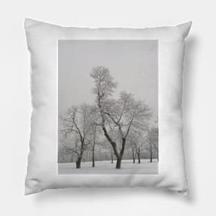 Winter Trees Pillow