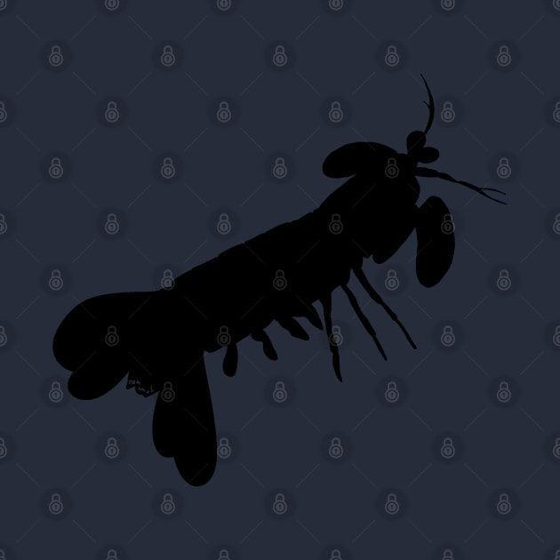 Peacock mantis shrimp (Odontodactylus scyllarus) silhouette by Namwuob