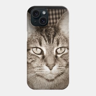 Tiger striped cat Phone Case