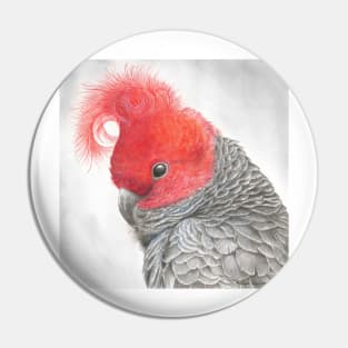 Gang-Gang Cockatoo original watercolour design Pin