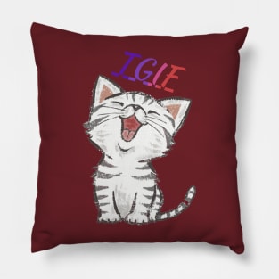 TGIF Funny Cat Pillow