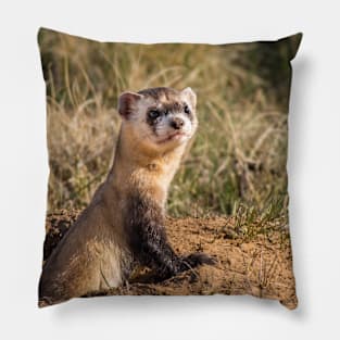 ferret lover, cute ferret, ferret pet, animals- black footed ferret Pillow