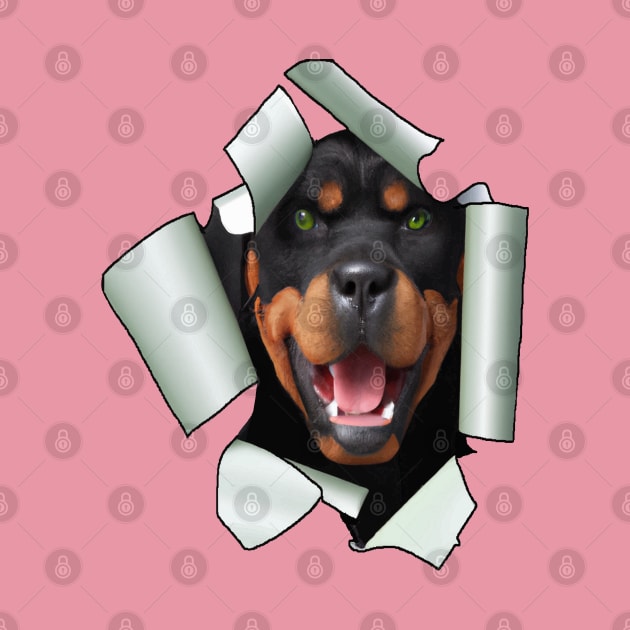 Cartoon Style Rottweiler Dog Poking Its Head Through Ripped Paper by taiche