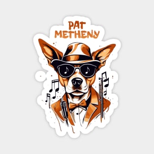 pat metheny Magnet