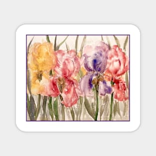 Iris Multicolor Color Watercolor Magnet