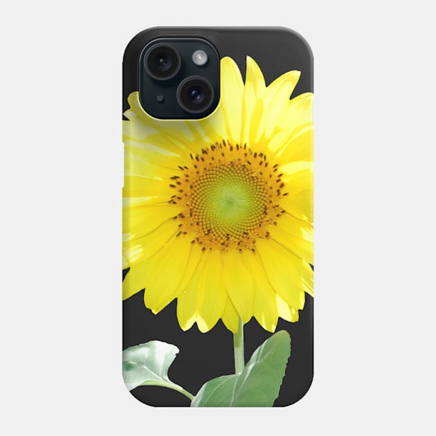 Sunflower Phone Case by HammerPen