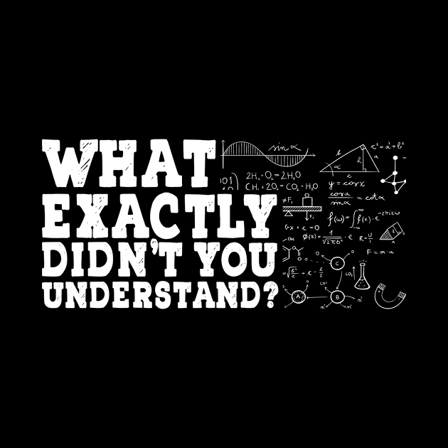 What Exactly Didn't You Understand Mathematicians by Print-Dinner