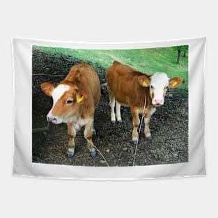 Baby Cows Tapestry