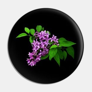 Lilacs - Lilacs and Leaves Pin