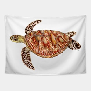 Green turtle Chelonia mydas Tapestry