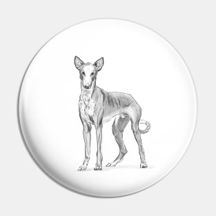 Ibizan Hound Pin