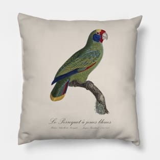 Red-Tailed Amazon Parrot / Le Perroquet a Joues Bleues - 19th century Jacques Barraband Illustration Pillow