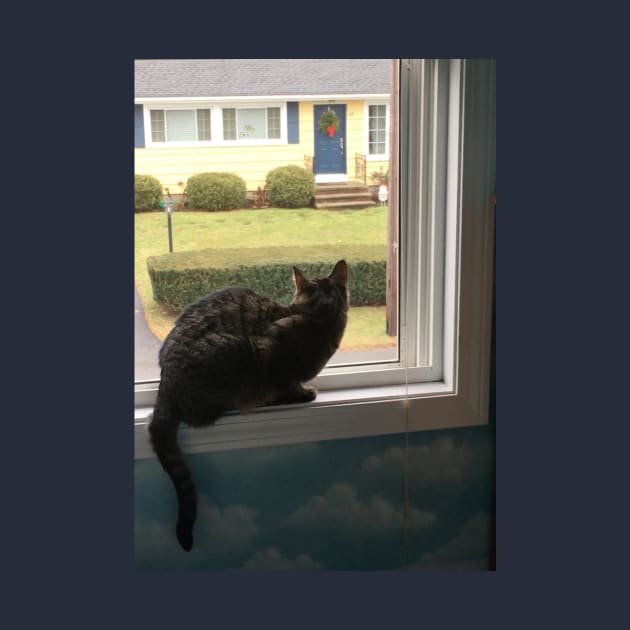 Kitty in the Window by Amanda1775