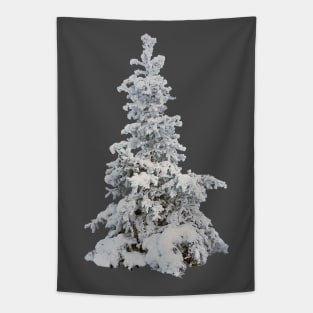 Frosty snow covered tree - winter spruce Tapestry