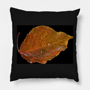 Small Leaf Pillow