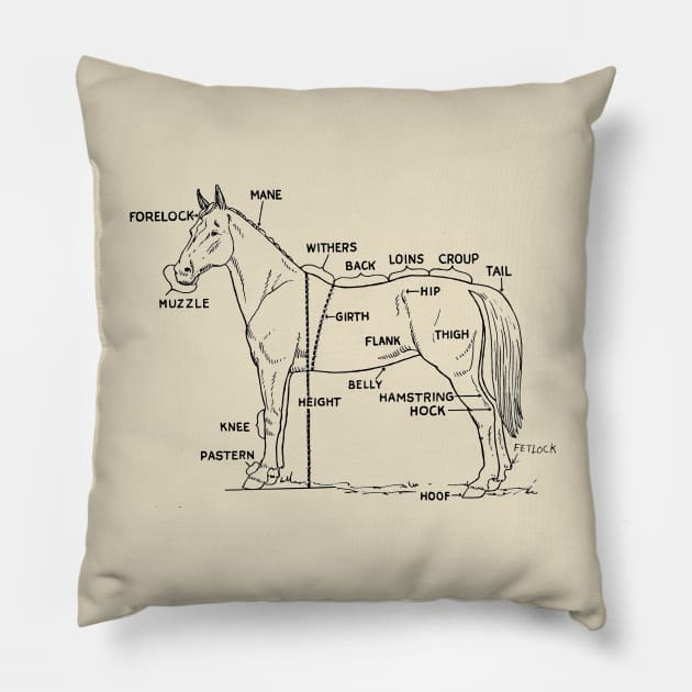 Horse anatomy Pillow by MiRaFoto