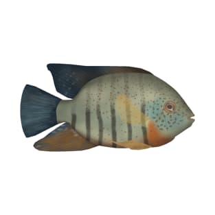 Red Tiger Severum T-Shirt