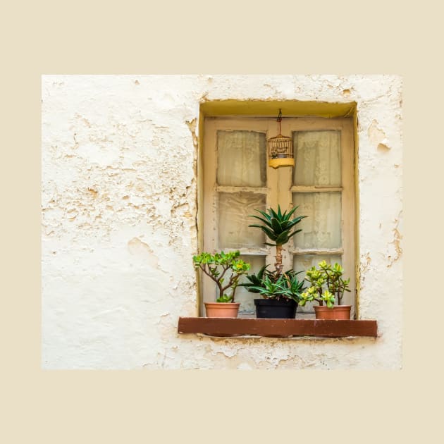 Window with flower garden and bird cage by lena-maximova