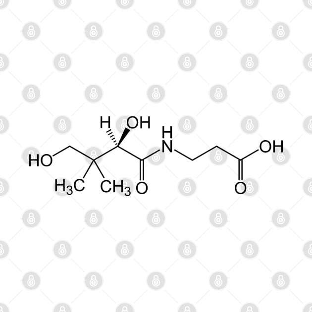 Vitamin B5 Pantothenic Acid C9H17NO5 Molecule by Zeeph