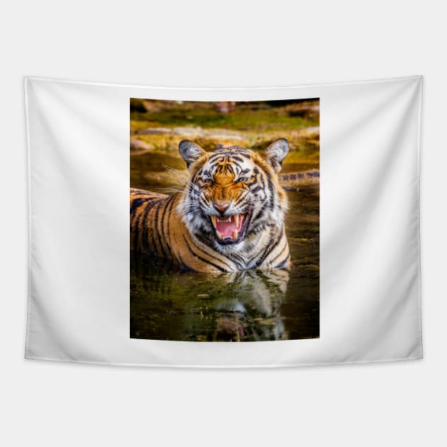 Bengal Tigress Tapestry by GrahamPrentice
