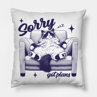 Sorry got plan Pillow