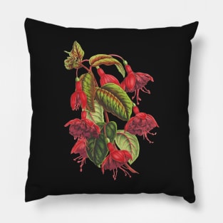 Fuchsia flowers - botanical illustration Pillow