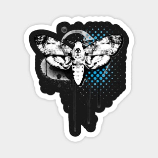 Death Head Moth Magnet