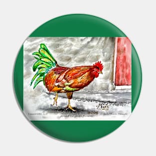 Grand Cayman Rooster Pin