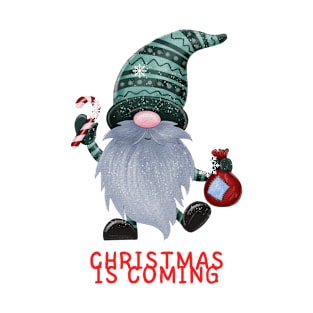 Gnome Christmas is coming T-Shirt