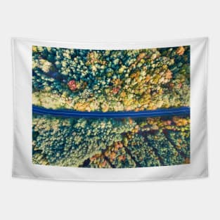 Road through colorful autumn forest Tapestry