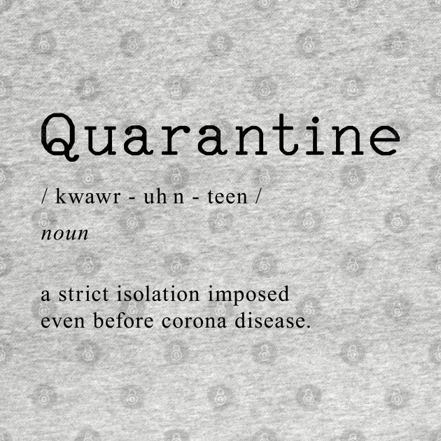 Disover Quarantine Definition - Quarantine - T-Shirt