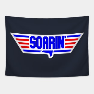 Soarin' Tapestry