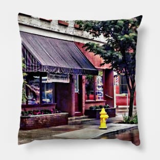 Owego NY - Fire Hydrant by Barber Shop Pillow