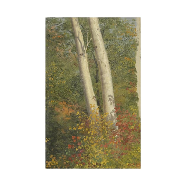 Birch Trees in Autumn by Frederic Edwin Church by Classic Art Stall