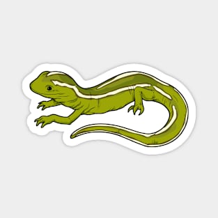 Drawing of a gecko Magnet