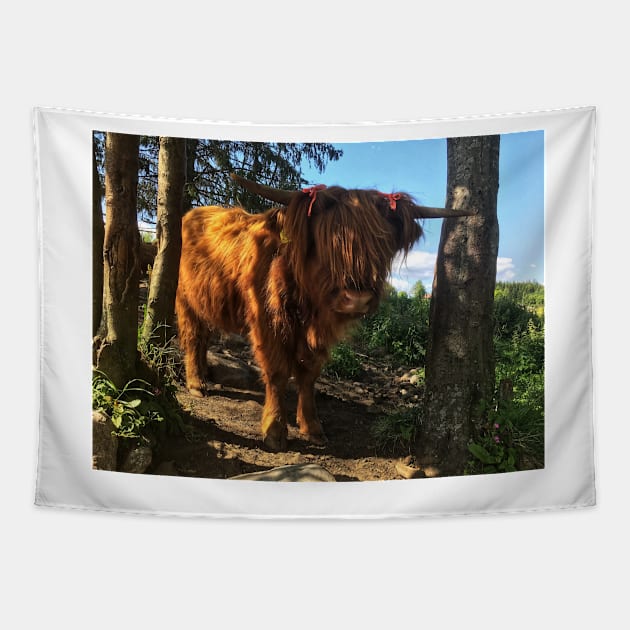 Scottish Highland Cattle Calf 2050 Tapestry by SaarelaHighland