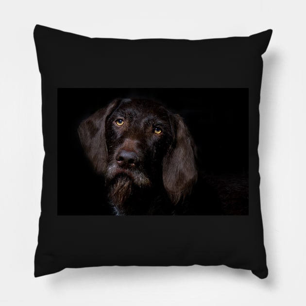 German Wirehaired Pointer Portrait Pillow by heidiannemorris