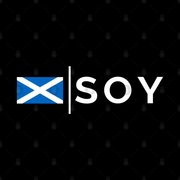SOY Stronsay Airport, Orkneys  Airport Code Scottish Saltire Flag of Scotland by tnts