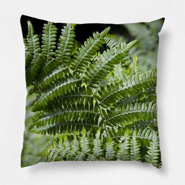 Ferns in Spring Pillow by Nicholas Lee