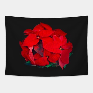 Poinsettia red winter festive flower arrangement bouquet Tapestry