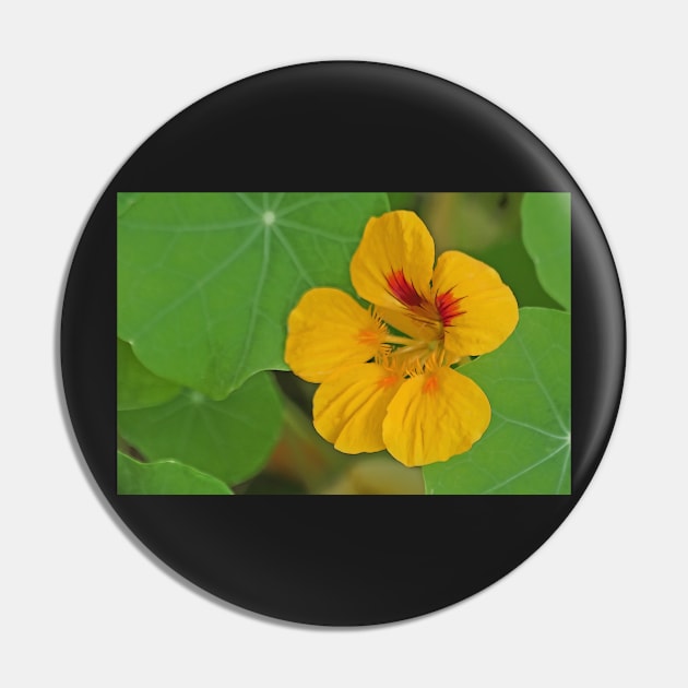 Nasturtium Pin by EileenMcVey