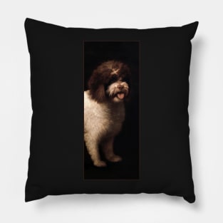 Water Spaniel by George Stubbs Pillow